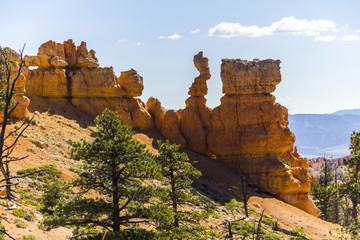Landscape of red hoodoos in Bryce Canyon