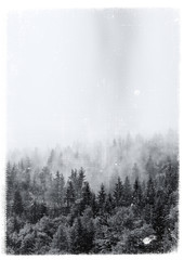 Fototapeta na wymiar Aged and textured print of an alpine forest