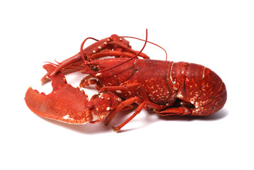 Homard breton