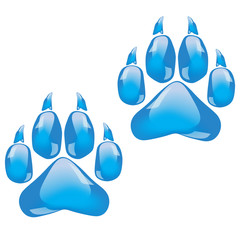 Naklejka premium Footprints of a big cat