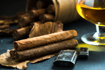 Cuban cigars on tobacco leafs