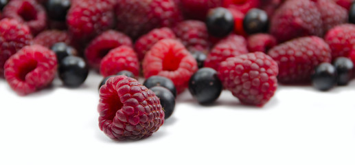 red raspberry and black currant