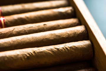 Cuban cigars in wooden crafted humidor