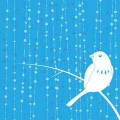 bird with blue background