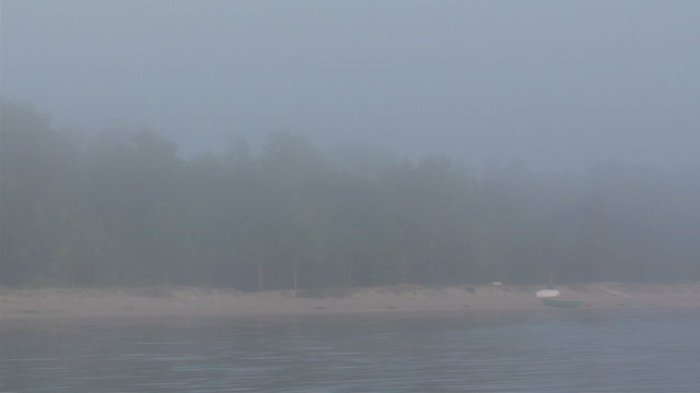 Fogs all over the beach in a late afternoon. Trees and the sea almost cant be seen because of the fog