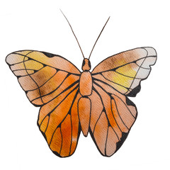 Watercolor orange butterfly