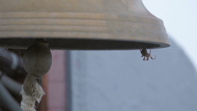 A small spider hanging on the bell on the ship docked in the port