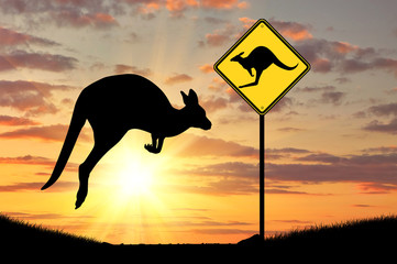 Silhouette d& 39 un kangourou avec un bébé