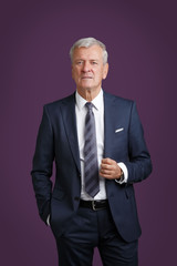 Senior businessman portrait