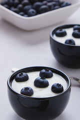 blueberry yogurt