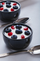yogurt with blueberry and pomegranate