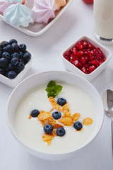 yogurt with cereals and blueberry