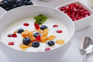 yogurt with cereals, blueberry and pomegranate