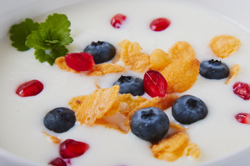 yogurt with cereals, blueberry and pomegranate