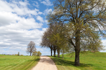 Fototapeta na wymiar Spring in latvian countryside.