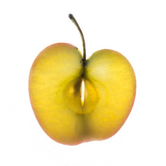 back lit apple slice