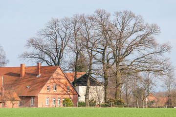 Obraz premium Altes Bauernhaus mit Eichen im Frühling