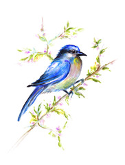 Голубая птичка на ветке.Авторский акварельный рисунок. - 96024862