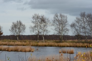 Fototapeta premium Moorlandschaft