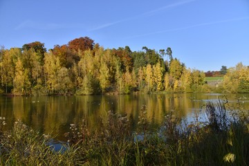 L'étang de la Ferme et sa végétation à l'état sauvage au parc Solvay de la Hulpe