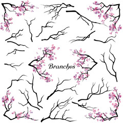 Set of branches isolated on white background. Abstract blooming cherry-tree. Floral decorative brush. Watercolor imitation. Vector, EPS 10