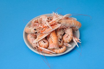 Close-up of three scampi