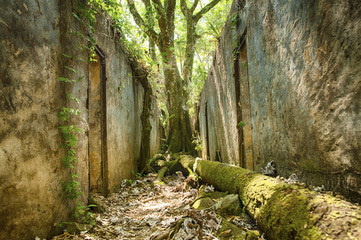 Bagne des îles du Salut - Guyane