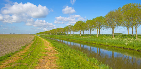 Fototapeta na wymiar Canal meandering through the countryside in spring