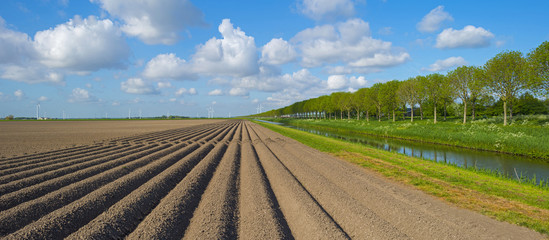 Furrows in a field in spring