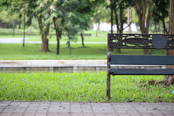 alone chair in green garden