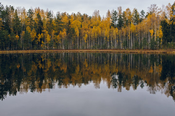 Colorful autumn lakeside treeline with reflection