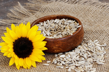 Sonnenblumenkerne