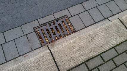 Ein mit Laub verstopfter Gulli