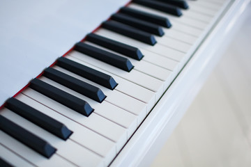 Naklejka premium the keys of the piano