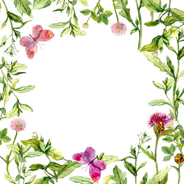 Border frame with wild herbs, meadow flowers and butterflies. Watercolor 