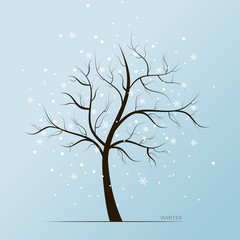 Vector winter blue background with white snow flakes and tree without leaves