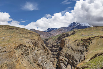 Rocky gorge and snow mountain peak among dry terrain