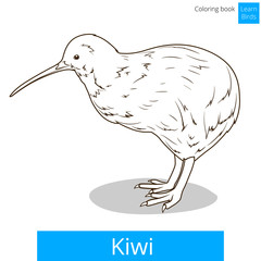Kiwi learn birds coloring book vector
