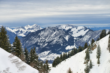Winter Alpine landscape framed by firs forest slopes