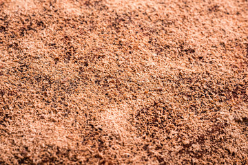 Tiramisu Cake Chocolate Topping Texture