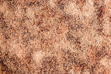 Tiramisu Cake Chocolate Topping Texture