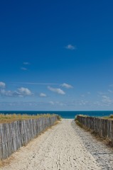 Fototapeta premium Path to the beach