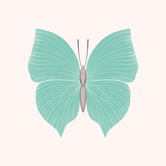 beautiful vintage blue butterfly isolated on white background.