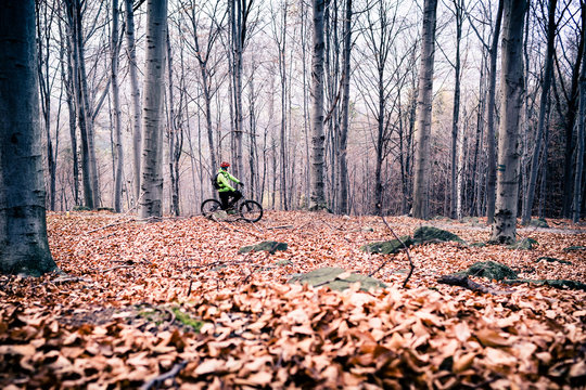 Mountain biker on cycle trail in woods