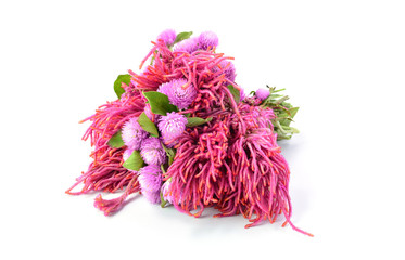 Fototapeta premium bouquet of pink flowers on white background