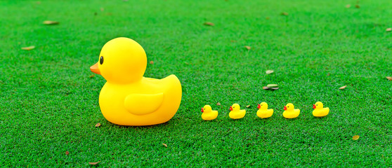Leadership concept , Big yellow duck leading group