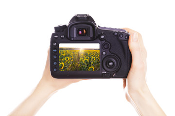 Photographer with camera at work, isolated on white
