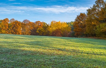 Green field at autumnal morning