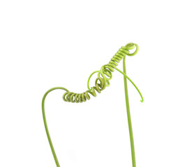  tendril on with background
