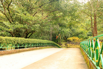 Pedestrian Bridge surrounded by trees